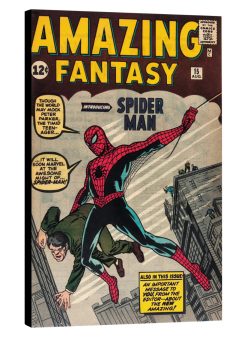 vintage-comic-book-cover-Spiderman-Amazing-Fantasy-Number-1-on-canvas